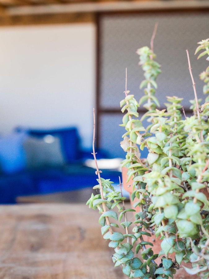 Eco Lodge Carbonaccio Chiatra エクステリア 写真