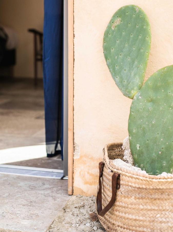 Eco Lodge Carbonaccio Chiatra エクステリア 写真