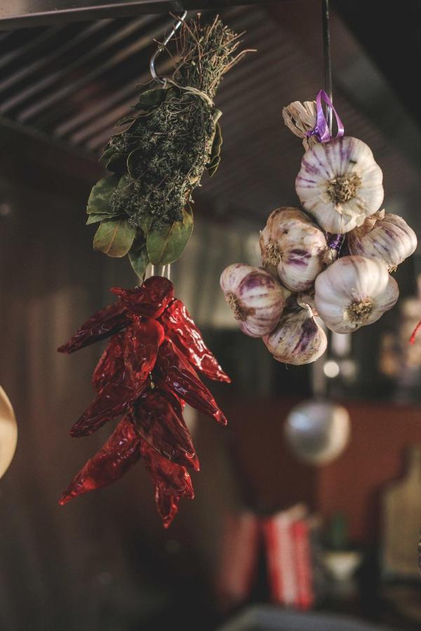 Eco Lodge Carbonaccio Chiatra エクステリア 写真