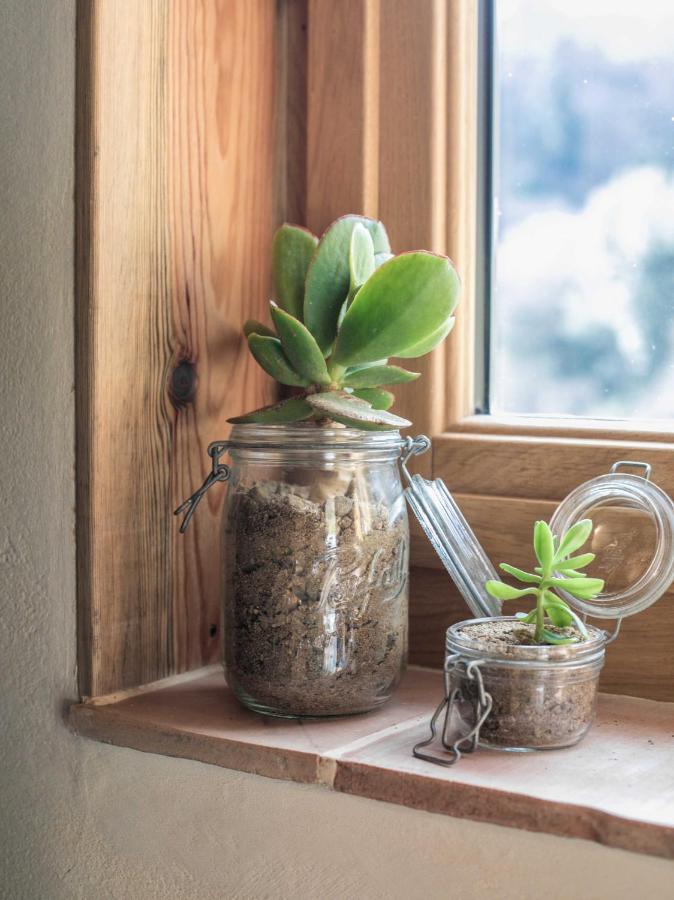 Eco Lodge Carbonaccio Chiatra エクステリア 写真